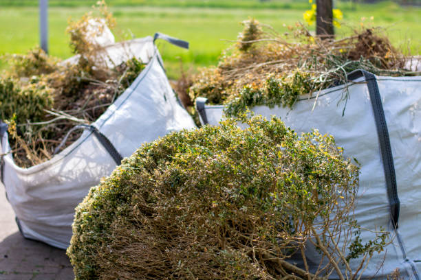 Best Trash Removal Near Me  in Carbondale, CO